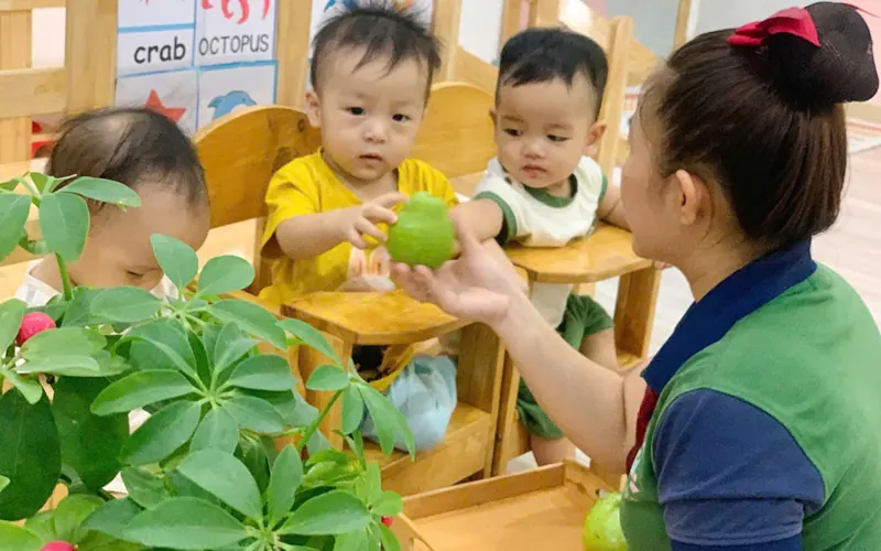 Cô đưa trái cây cho các bé nhà trẻ ngồi ghế ăn